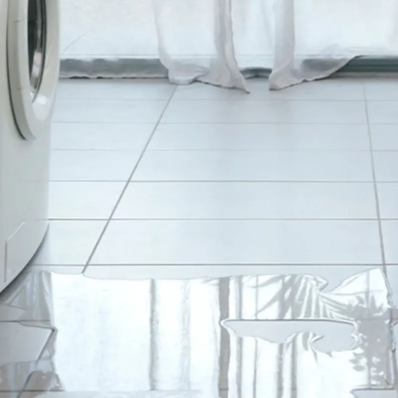 Appliance Leak Cleanup in Mount Prospect, IL