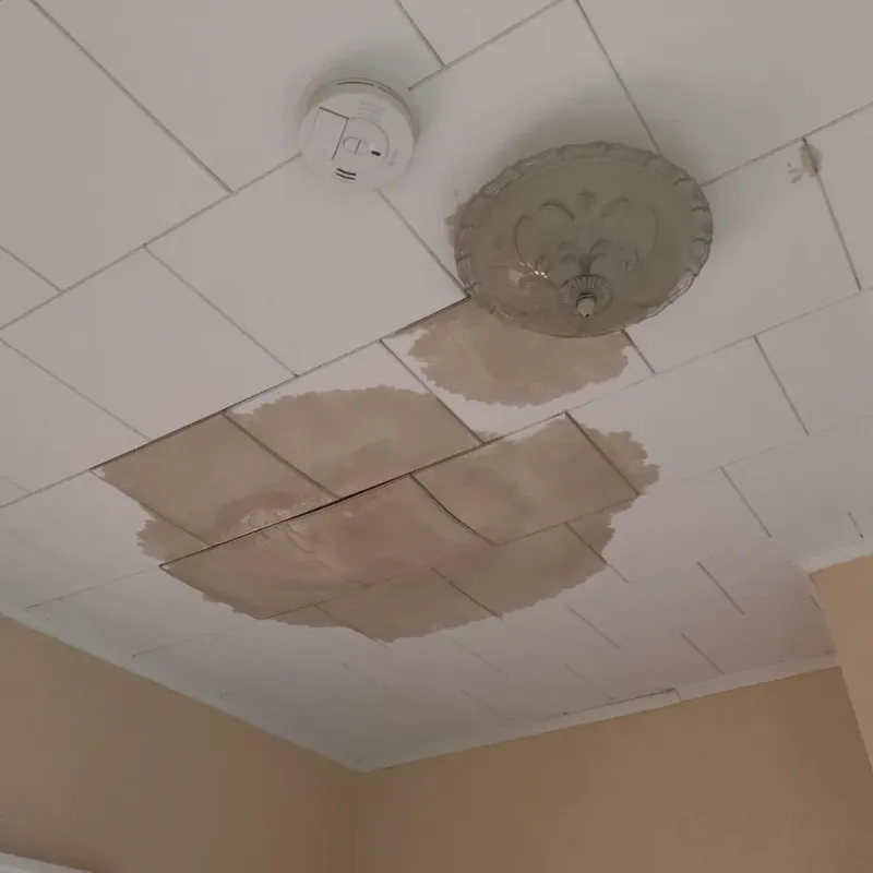 Ceiling Water Damage Repair in Mount Prospect, IL